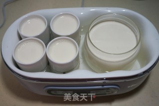 #trust of Beauty#homemade Yogurt recipe