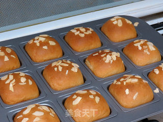 Yogurt Butter Buns recipe