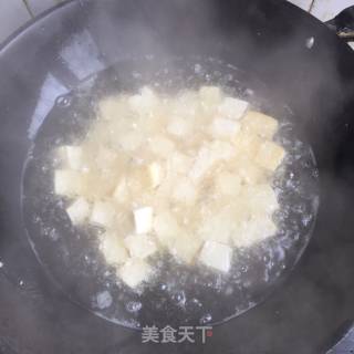 #trust之美# Braised Pork with Tofu recipe