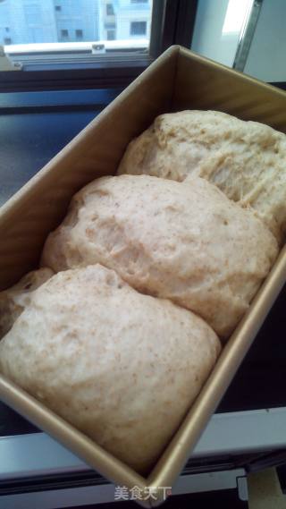 Grained Whole Wheat Toast recipe