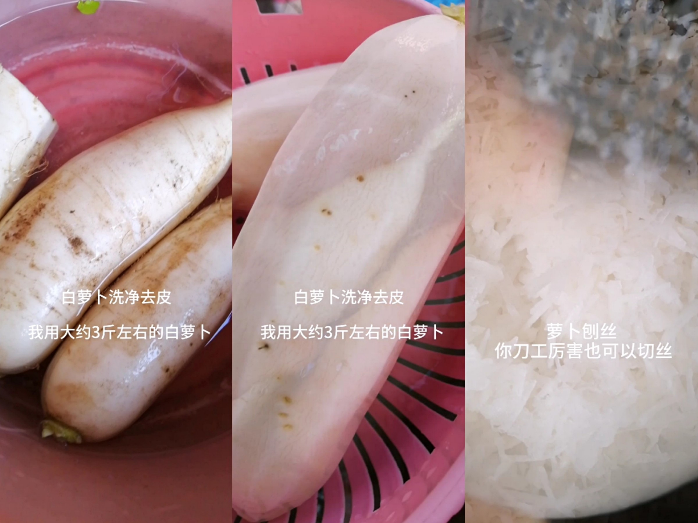 Chaoshan Fuyuan-baked Turnip recipe