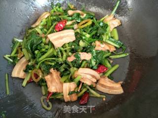 Stir-fried Pork with Moss recipe