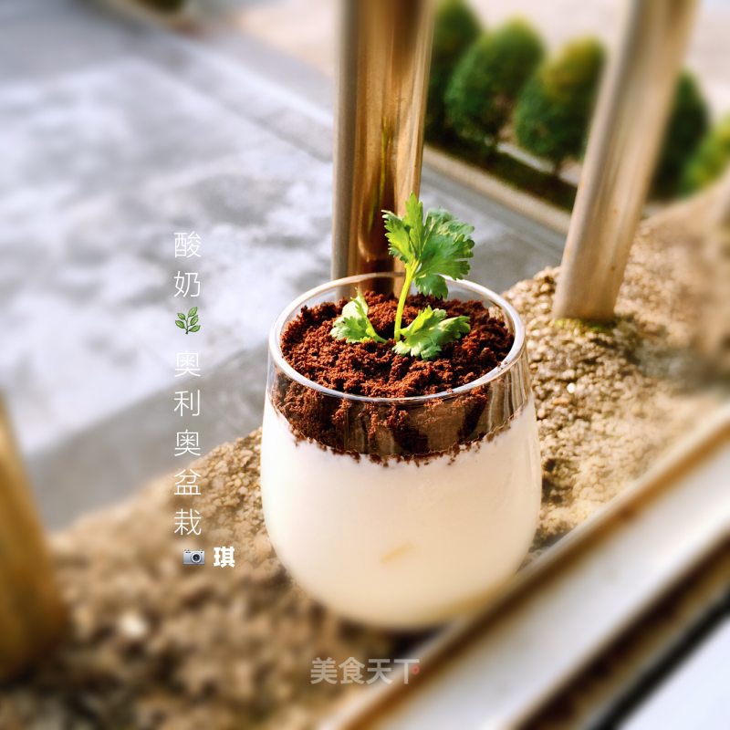Yogurt Oreo Small Pot recipe