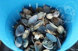 Spicy Fried Clams recipe