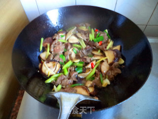 Stir-fried Beef with Fresh Mushrooms recipe