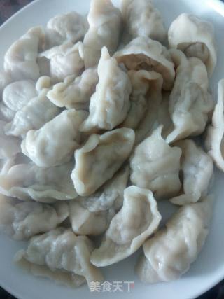 Lamb Dumplings with Cabbage recipe