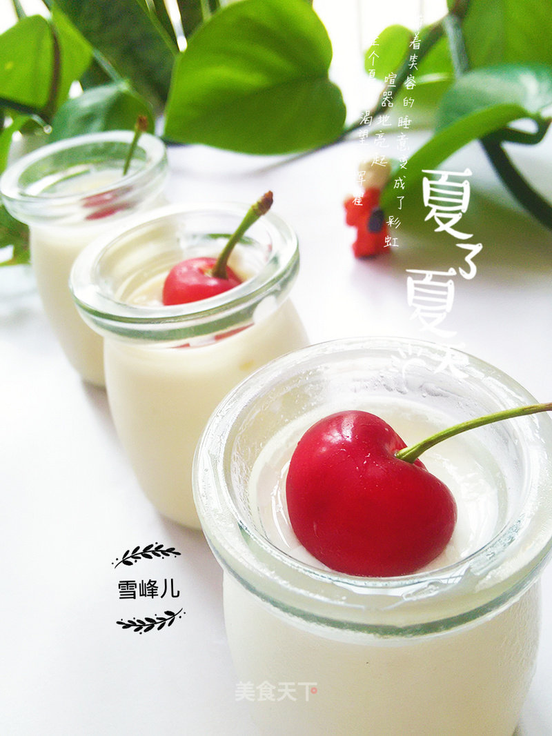 Homemade Yogurt recipe