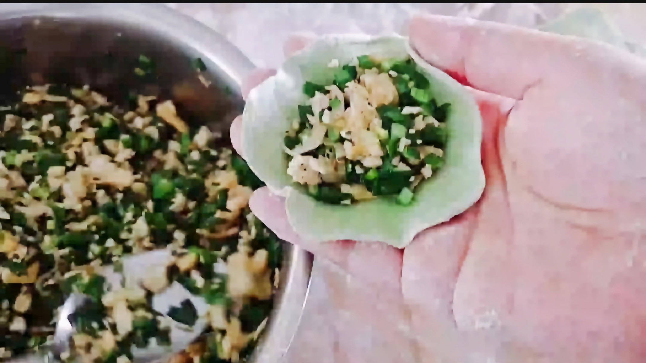 Classic Vegetarian Dumplings... Leek Tofu Dumplings recipe