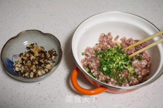 Gluten Stuffed Meat recipe