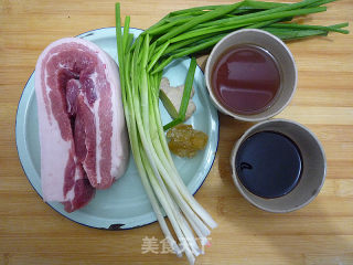 [ningbo] Braised Pork with Scallions recipe