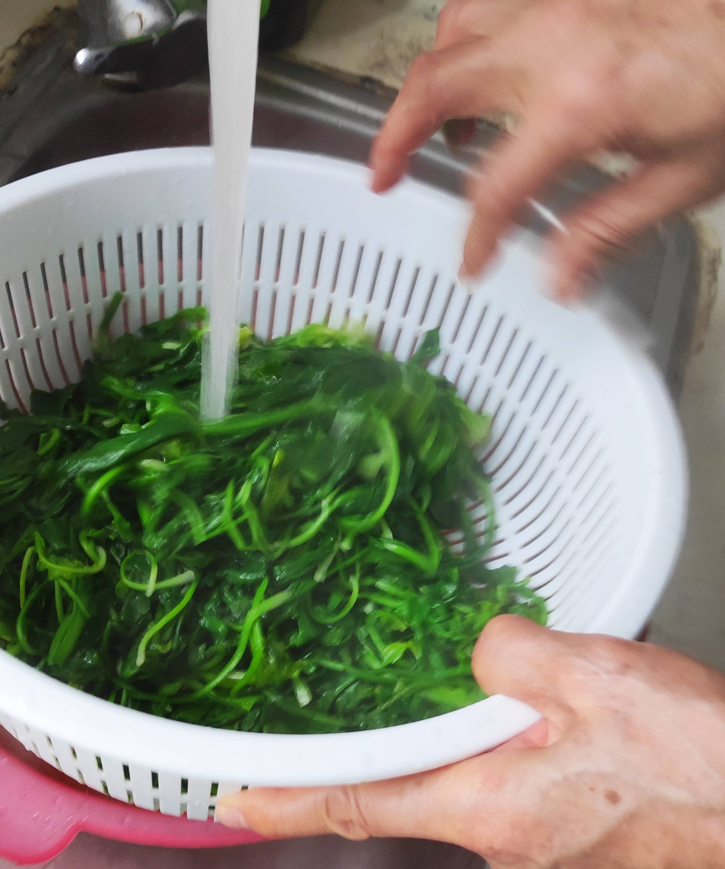 Shepherd's Purse and Pork Spring Rolls are Much Easier Than Making Dumplings recipe