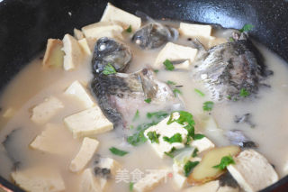 Crucian Tofu Soup recipe