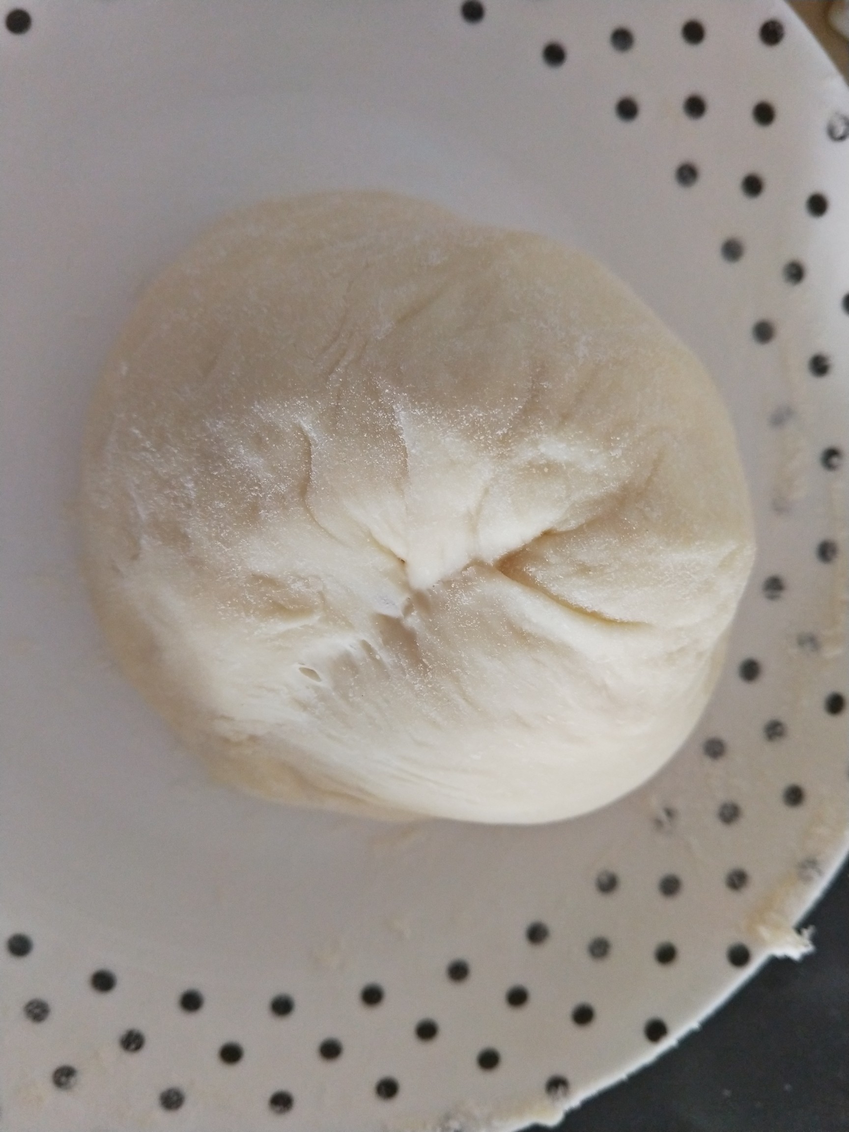 Sauerkraut Pork Bun recipe