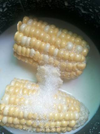 Milky Corn on The Cob recipe