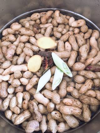 Boiled Peanuts recipe