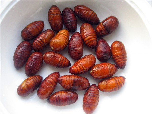 Fried Silkworm Chrysalis recipe