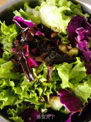 Cold Vegetables ~ Purple Cabbage Lettuce Cucumber Pepper recipe