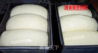 Pure Custard Toast recipe