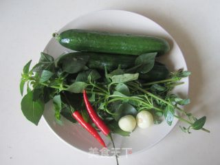 Nepeta Mixed with Cucumber recipe