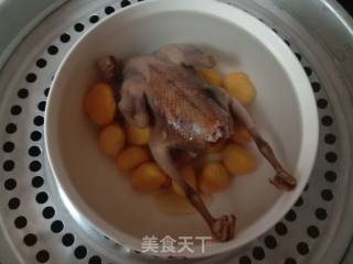 Steamed Chestnut Pigeon Soup recipe