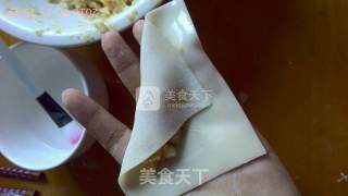 Fried Spring Rolls recipe