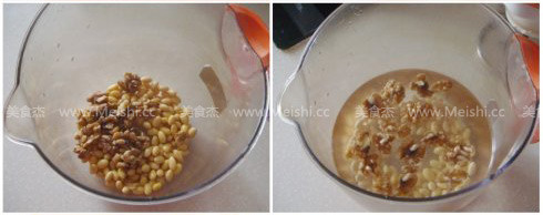 Walnut Soy Milk recipe