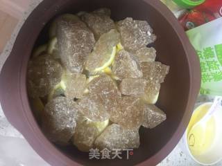 Chuanbei Tangerine Peel Lemon Balm recipe