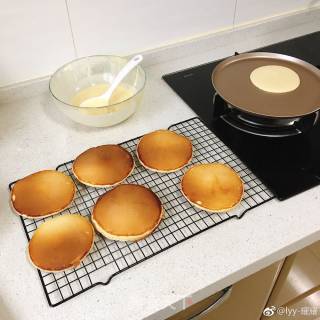 Frozen Fermented Muffins (yeast Version) recipe