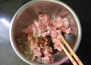 Roasted Eichhornia Meatballs recipe