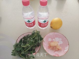 Lemon Mint Drink recipe