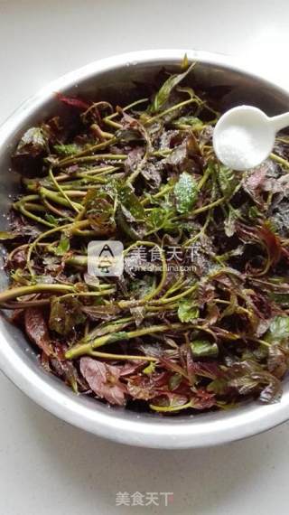 Pickled Toon Sprouts recipe