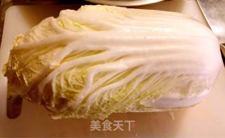 Stewed Pen Tube Fish with Cabbage and Tofu recipe