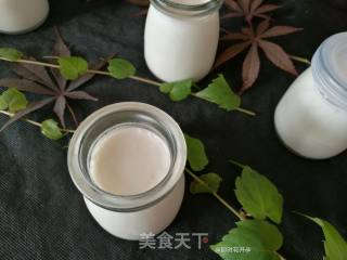 Homemade Yogurt recipe