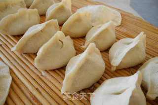 Donkey Meat Soup Dumplings recipe