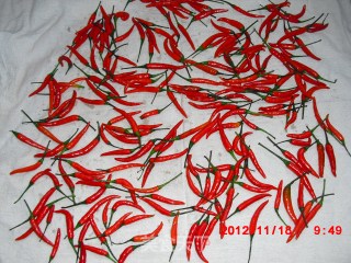 Homemade Chopped Chili [super Spicy] recipe