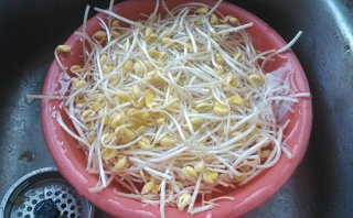 Sichuan Flavor-fried Soybean Sprouts recipe