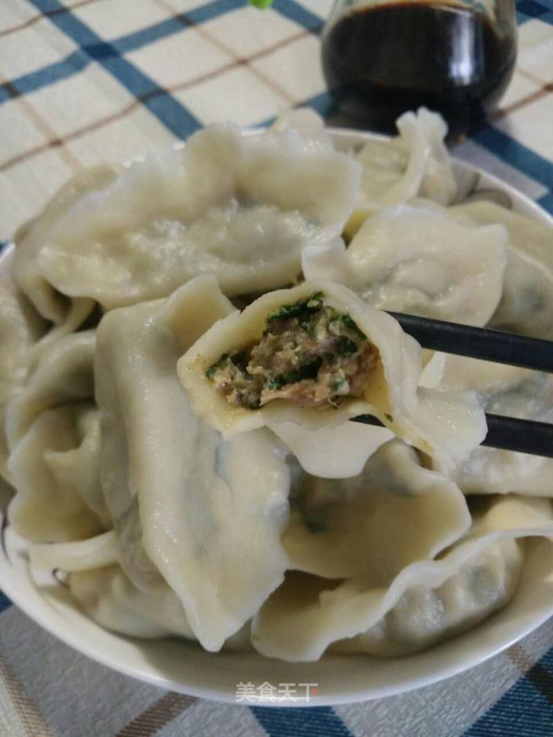 #春食野菜香# Dandelion Pork Dumplings recipe