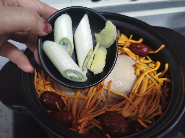 Stewed Chicken Soup with Cordyceps Flower recipe