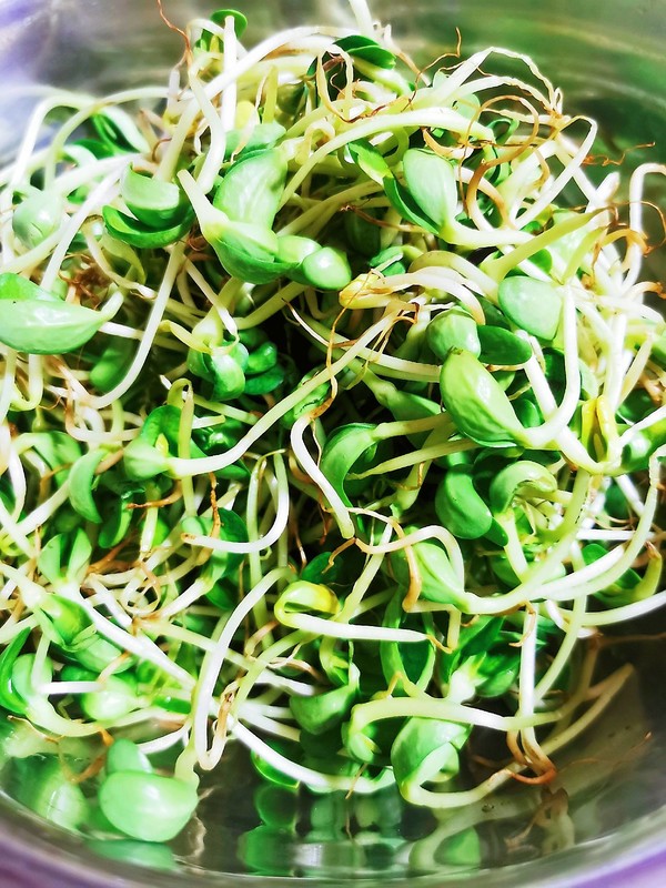 Garlic Bean Sprouts recipe