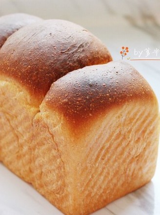100% Whole Wheat Bread recipe
