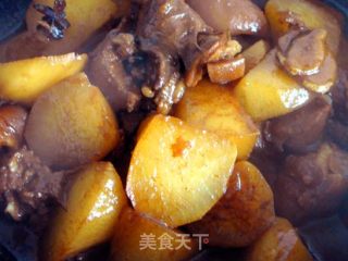 Lamb Stew with White Radish recipe