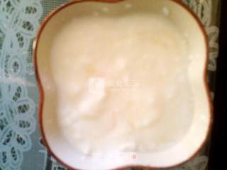 Honey Yogurt recipe