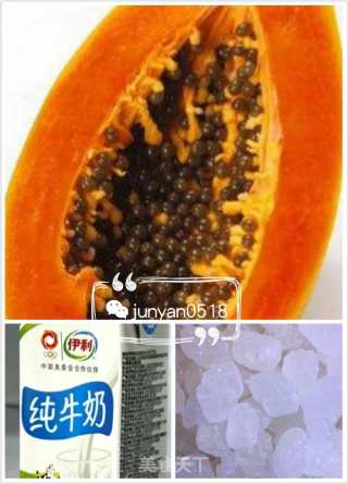 Papaya Milk recipe