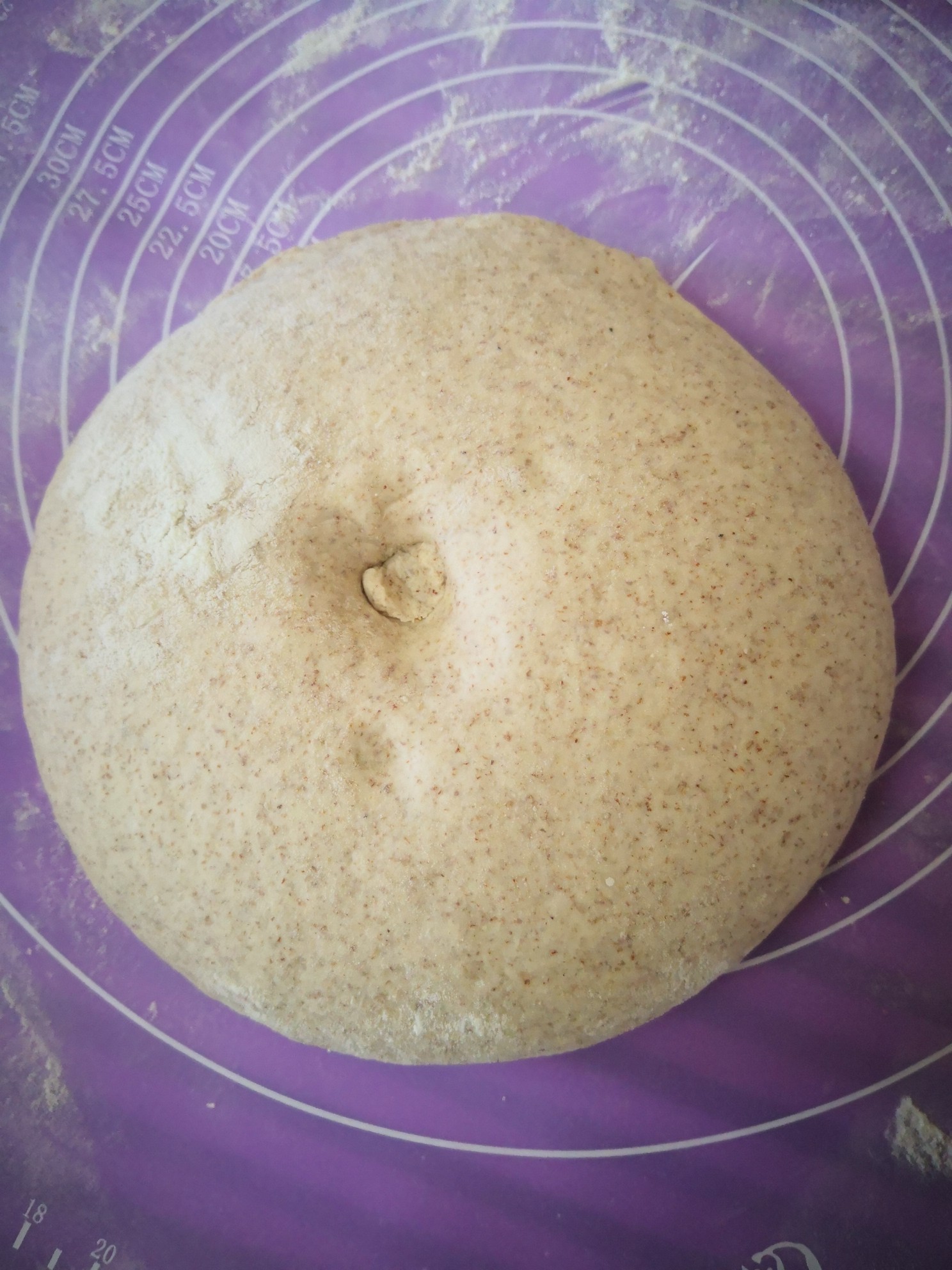 Whole Wheat Meat Buns recipe