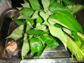 Garlic Sweet Potato Leaves recipe