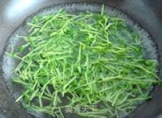 "the Season of Summer" Anti-disease Herborist--------〖catch Pea Seedlings Alive〗 recipe