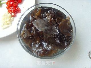 Cold Fungus recipe