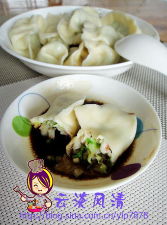 Shrimp and Vegetable Dumplings recipe