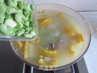 Corn and Broad Bean Pork Ribs Soup recipe