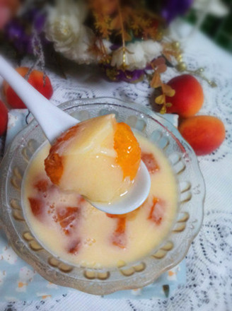 Apricot Pudding recipe